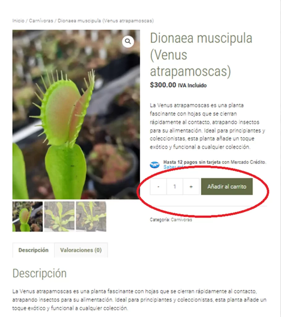 Cómo comprar en nuestra tienda Agregar