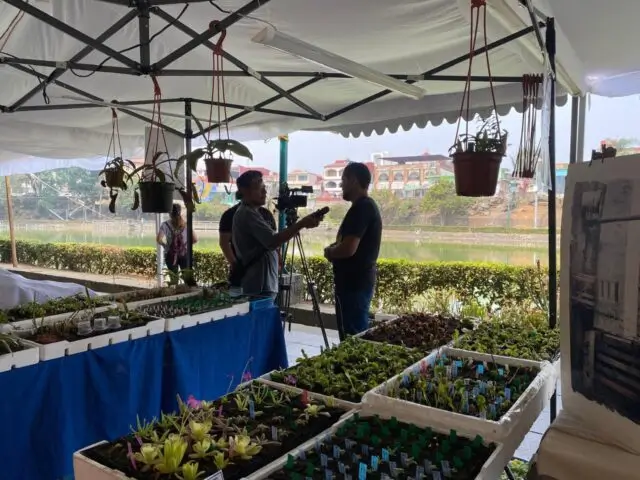 Inicio-Macetas-y-plantas-w Inicio
